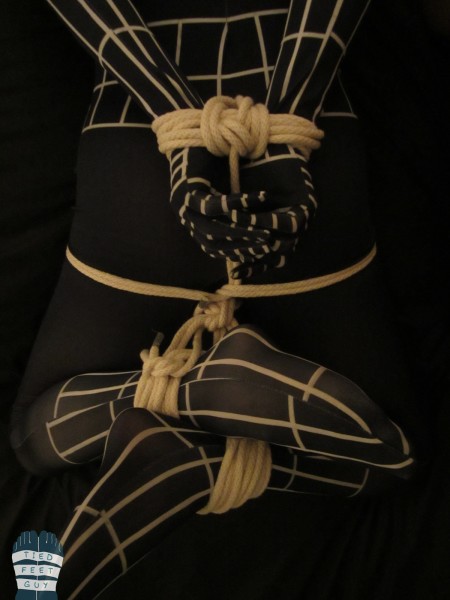 TFGsymbiotehogtied (4)