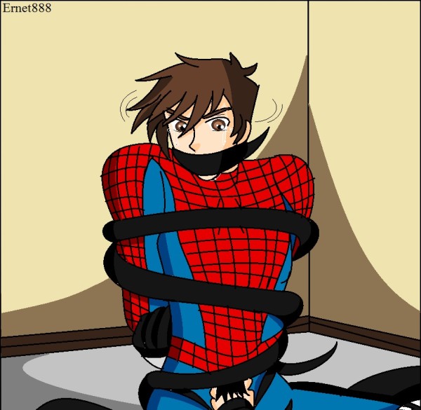 spiderman_taken_by_ernet888-d87pkna